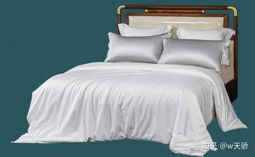 蠶絲被什么品牌值得推薦 兒童 春秋蠶絲被推薦十大品牌,太湖雪 富安娜 水星家紡蠶絲被哪個(gè)牌子好